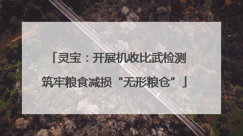 灵宝：开展机收比武检测 筑牢粮食减损“无形粮仓”