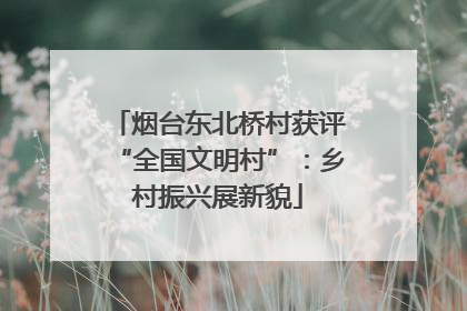 烟台东北桥村获评“全国文明村”：乡村振兴展新貌