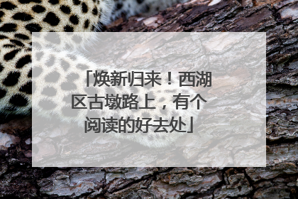 焕新归来！西湖区古墩路上，有个阅读的好去处