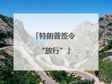 特朗普签令“放行”