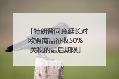 特朗普同意延长对欧盟商品征收50%关税的最后期限