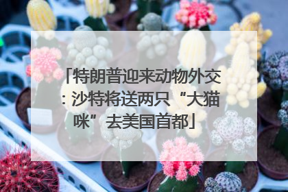 特朗普迎来动物外交：沙特将送两只“大猫咪”去美国首都