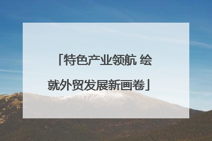 特色产业领航 绘就外贸发展新画卷