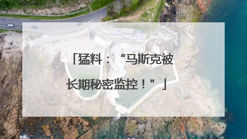 猛料：“马斯克被长期秘密监控！”