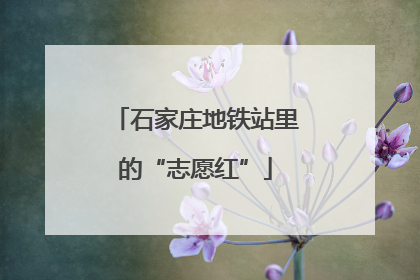 石家庄地铁站里的“志愿红”