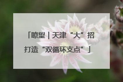 瞭望｜天津“大”招打造“双循环支点”