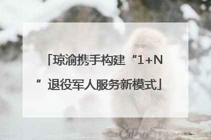 琼渝携手构建“1+N”退役军人服务新模式