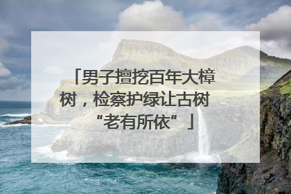 男子擅挖百年大樟树，检察护绿让古树“老有所依”