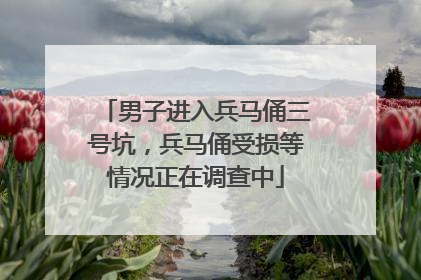 男子进入兵马俑三号坑，兵马俑受损等情况正在调查中
