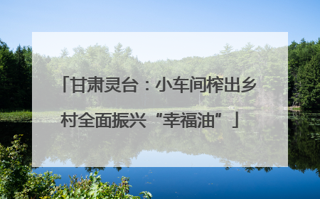 甘肃灵台：小车间榨出乡村全面振兴“幸福油”