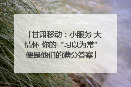 甘肃移动：小服务 大情怀 你的“习以为常”便是他们的满分答案