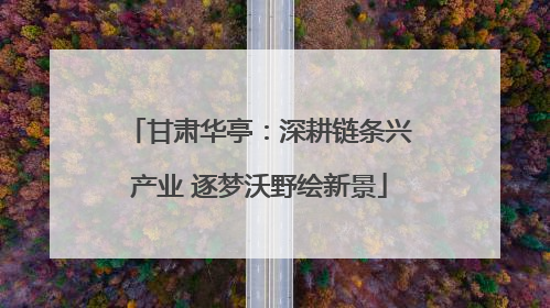 甘肃华亭：深耕链条兴产业 逐梦沃野绘新景