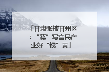 甘肃张掖甘州区：“蔬”写富民产业好“钱”景