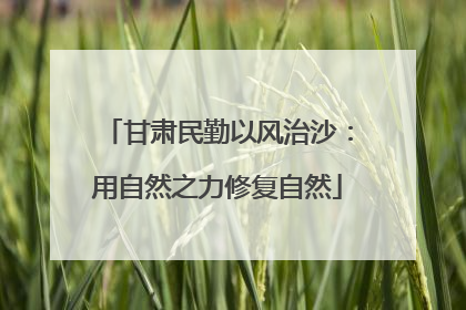 甘肃民勤以风治沙：用自然之力修复自然
