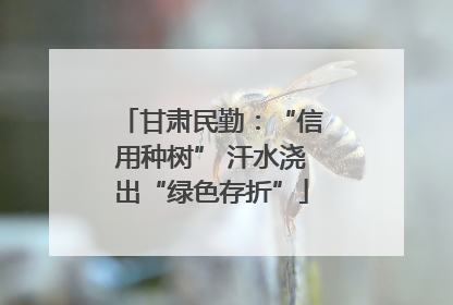 甘肃民勤：“信用种树” 汗水浇出“绿色存折”