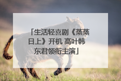 生活轻喜剧《蒸蒸日上》开机 高叶韩东君领衔主演