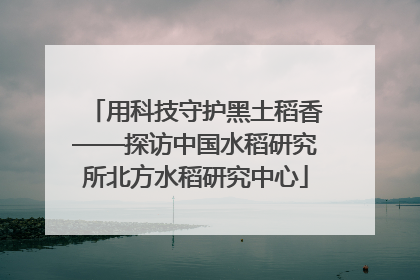 用科技守护黑土稻香——探访中国水稻研究所北方水稻研究中心