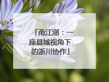 甬江潮：一座县域视角下的浙川协作