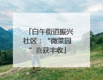 白午街道振兴社区：“微菜园”喜获丰收