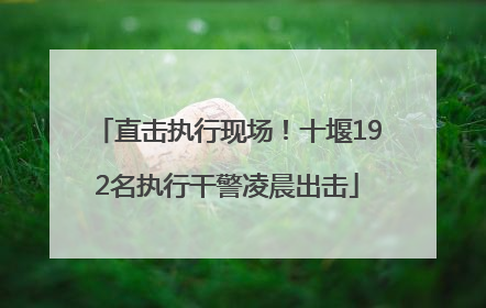 直击执行现场！十堰192名执行干警凌晨出击