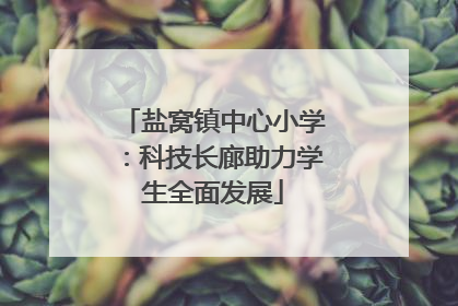 盐窝镇中心小学：科技长廊助力学生全面发展