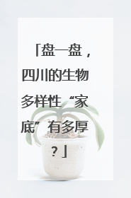 盘一盘，四川的生物多样性“家底”有多厚？