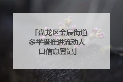 盘龙区金辰街道多举措推进流动人口信息登记