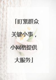 盯紧群众关键小事，小网格提供大服务
