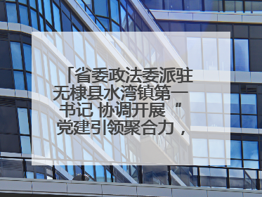 省委政法委派驻无棣县水湾镇第一书记 协调开展“党建引领聚合力，健康义诊惠乡亲”义诊活动