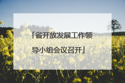 省开放发展工作领导小组会议召开