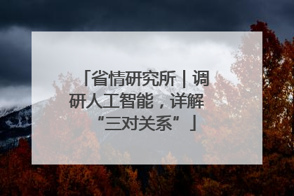 省情研究所｜调研人工智能，详解“三对关系”