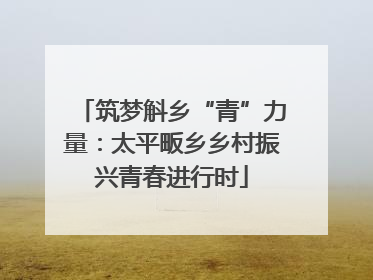 筑梦斛乡“青”力量：太平畈乡乡村振兴青春进行时