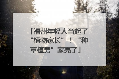 福州年轻人当起了“植物家长”！“种草植男”家亮了