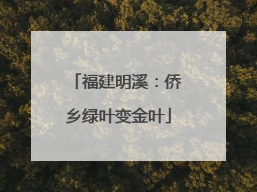 福建明溪：侨乡绿叶变金叶