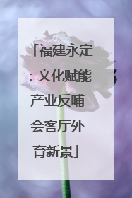 福建永定：文化赋能 产业反哺 会客厅外育新景