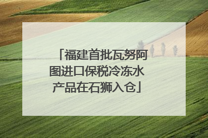 福建首批瓦努阿图进口保税冷冻水产品在石狮入仓