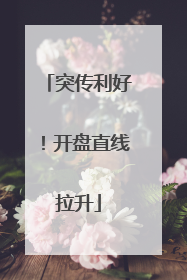 突传利好！开盘直线拉升
