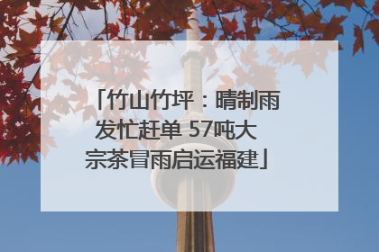 竹山竹坪：晴制雨发忙赶单 57吨大宗茶冒雨启运福建