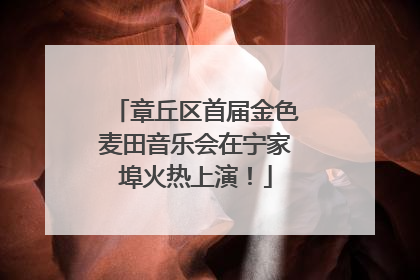 章丘区首届金色麦田音乐会在宁家埠火热上演！