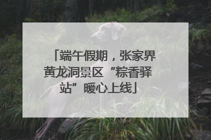 端午假期，张家界黄龙洞景区“粽香驿站”暖心上线