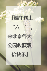 端午遇上“六一”，来北京各大公园收获双倍快乐