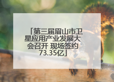第三届眉山市卫星应用产业发展大会召开 现场签约73.35亿
