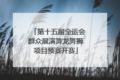 第十五届全运会群众展演舞龙舞狮项目预赛开赛