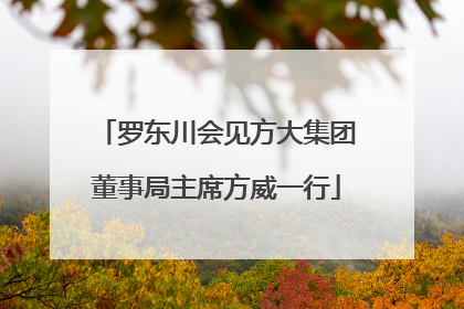 罗东川会见方大集团董事局主席方威一行