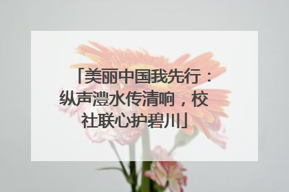 美丽中国我先行：纵声澧水传清响，校社联心护碧川