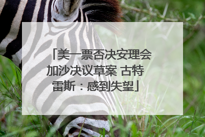 美一票否决安理会加沙决议草案 古特雷斯：感到失望