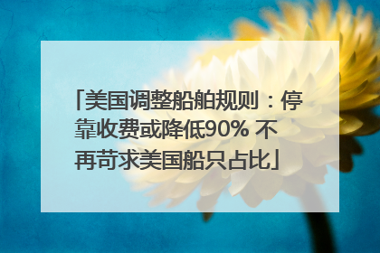 美国调整船舶规则：停靠收费或降低90% 不再苛求美国船只占比