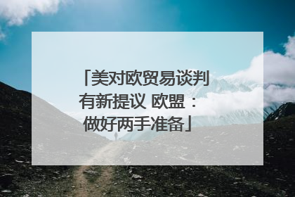 美对欧贸易谈判有新提议 欧盟：做好两手准备