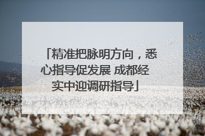 精准把脉明方向，悉心指导促发展 成都经实中迎调研指导