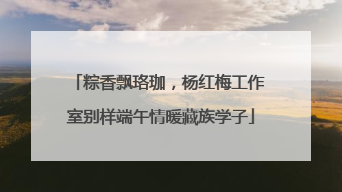 粽香飘珞珈，杨红梅工作室别样端午情暖藏族学子